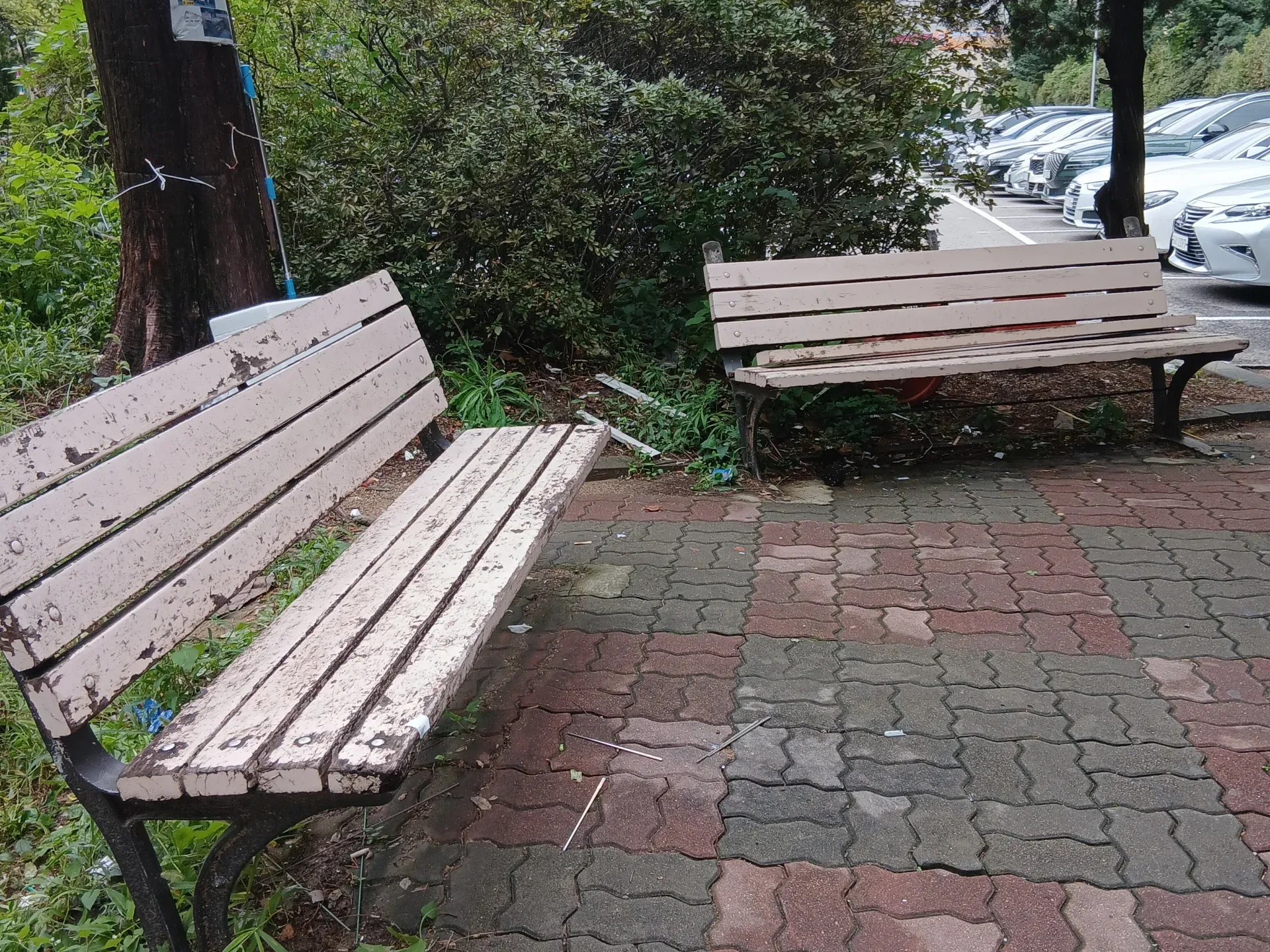 벤치나무판전체교체 완료 후 모습